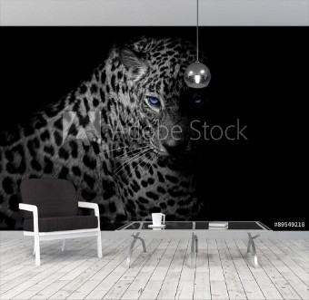 Bild på Black  white Leopard portrait isolate on black background